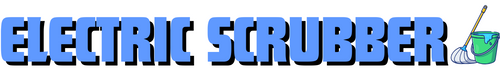 Electronic Scrubber